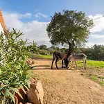Casa Da Paz * Aljezur