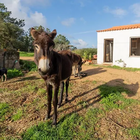 Casa Da Paz Aljezur