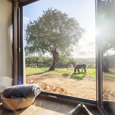 Casa Da Paz Lejlighed