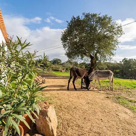 Casa Da Paz * Aljezur