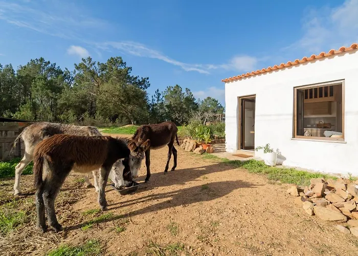 Appartamento Casa Da Paz Aljezur