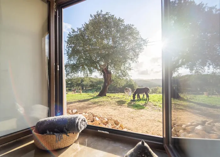 Casa Da Paz Appartamento