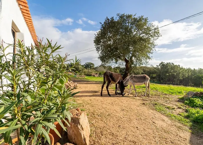 Casa Da Paz * Aljezur